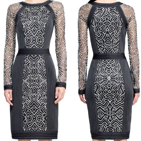 Tadashi Shoji Dresses & Skirts - Tadashi Shoji Nima dress Black White Embroidered Lace Long Sleeve Sheath Sheer M